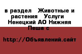  в раздел : Животные и растения » Услуги . Ненецкий АО,Нижняя Пеша с.